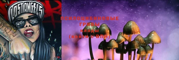 крисы Верея