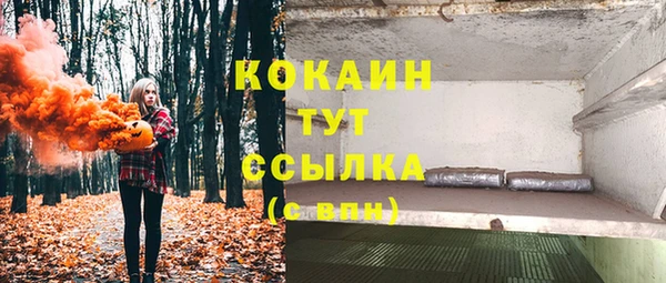 крисы Верея