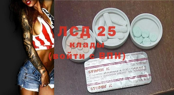 ешки Бородино