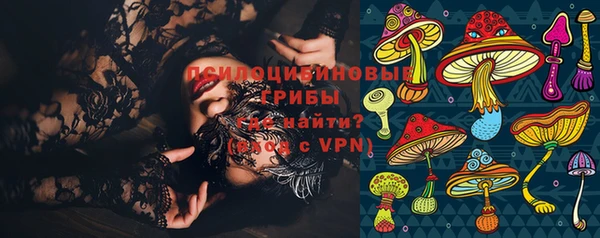 крисы Верея