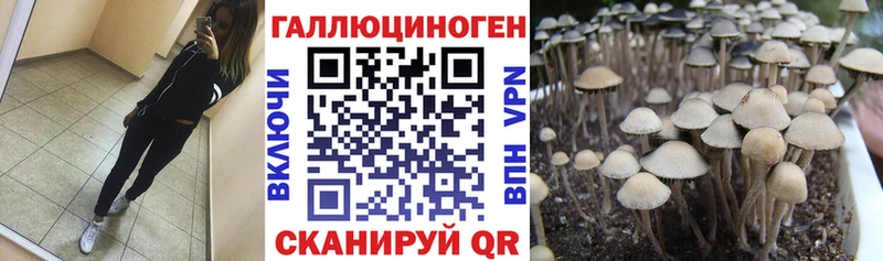 Псилоцибиновые грибы прущие грибы  Балаково 